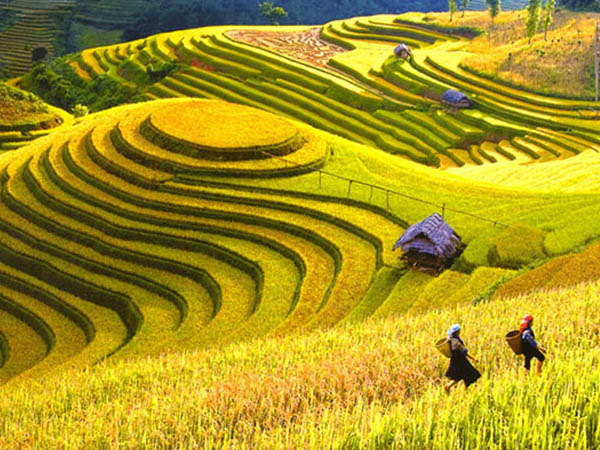 Đến với tour sapa giá rẻ của Sapa Peaceful Hotel bạn sẽ được tận hưởng những điều tuyệt vời nhất
